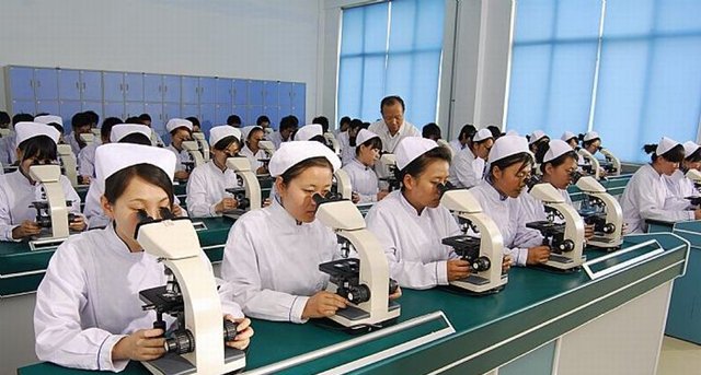 技工鲸鱼体育app官方入口新人权益