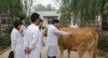 对照阅读由于高等医鲸鱼体育app官方