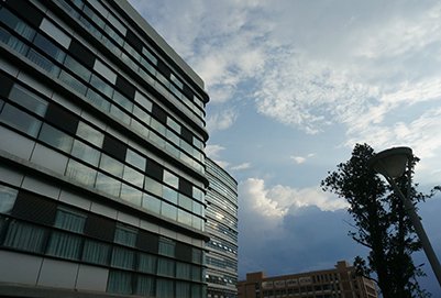 重庆市化医技师鲸鱼体育app官方入口