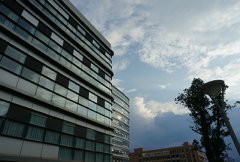 **化工鲸鱼体育app官方入口官方网