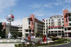 学历层次：高中