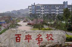 就业率：98%