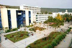学历层次