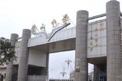学历层次：高中
