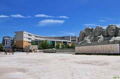 学历层次
