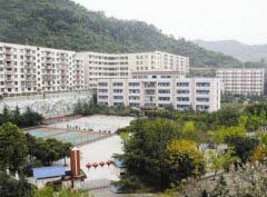 学历层次