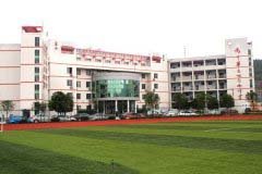 学历层次