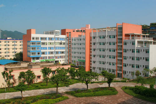 学历层次