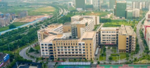 学历层次