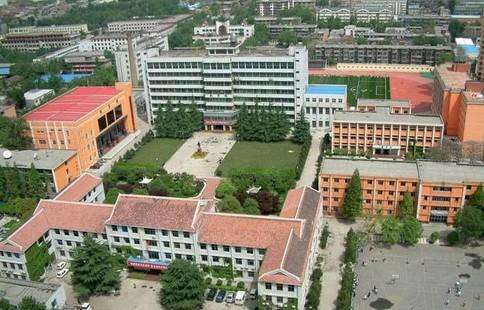 学历层次