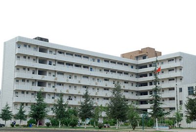 学历层次