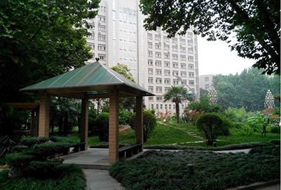 鲸鱼体育app官方入口平台介绍性质：公立