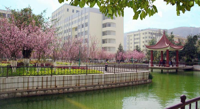 五年制大专学校办学条件