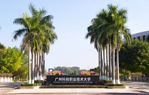 学历层次：大专