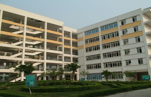 学历层次