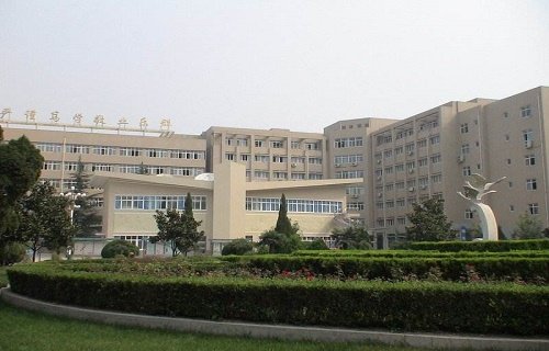 学历层次