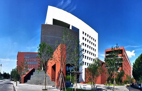 学历层次