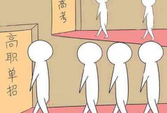 专任教师145名