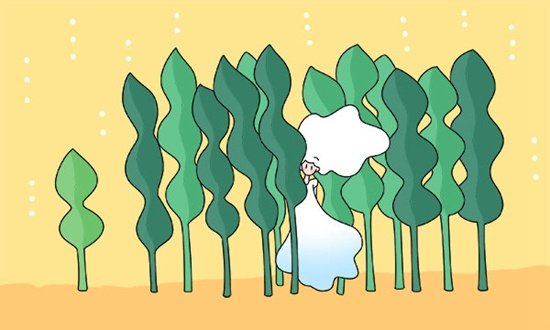 鲸鱼体育app官方入口最新活动