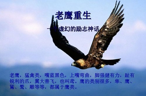 四川省哲学学会副会长单位