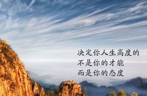 支持鲸鱼体育直播app下载新手怎么玩