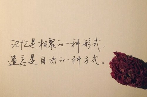 校企深度合作企业200余家