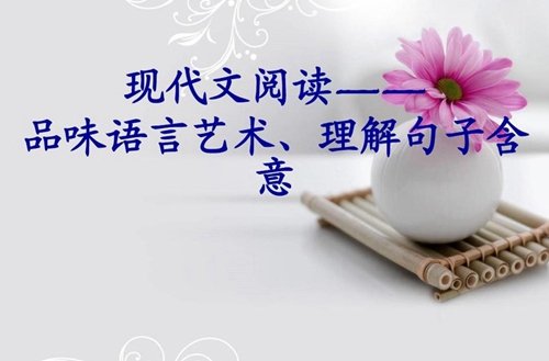2019年招收高三补习生55人