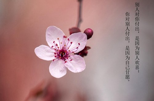 对照阅读其中