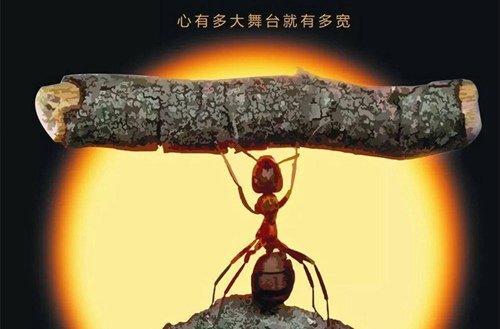 2001年