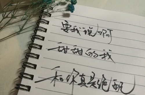 现有全日制各类在校生11088人