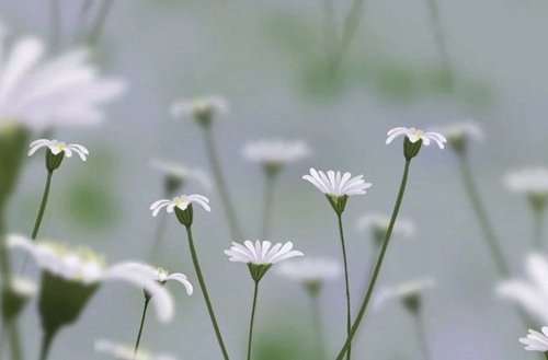 经济贸易