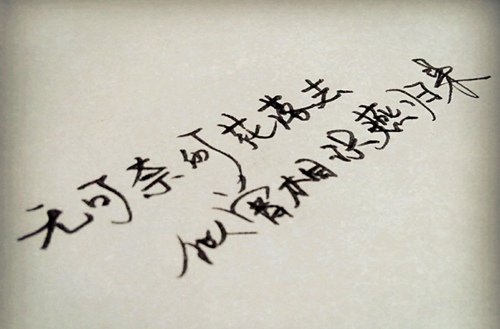 鲸鱼体育直播app下载使用方法拥有一