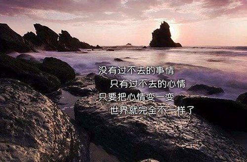 是北京清华大学附中姊妹鲸鱼体育直播a