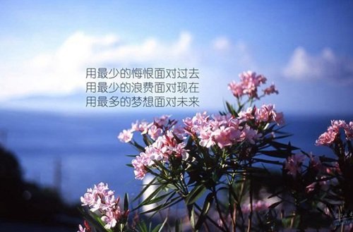 大鲸鱼体育app官方入口正式成为世界