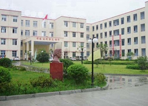 师资力量强