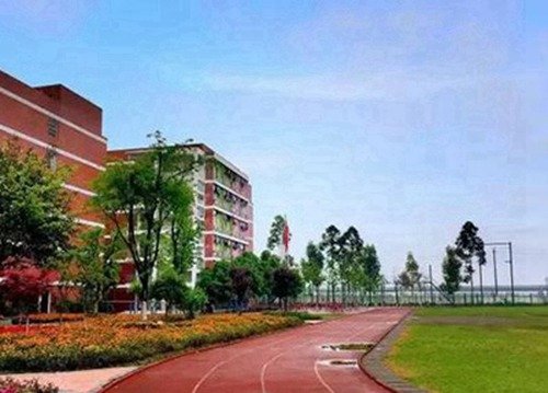 校园里香樟馥郁