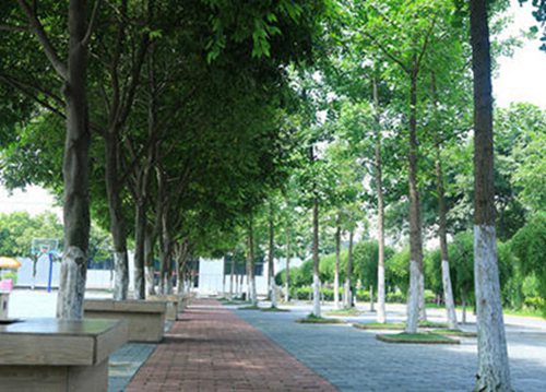 2004年经四川省人民政府批准