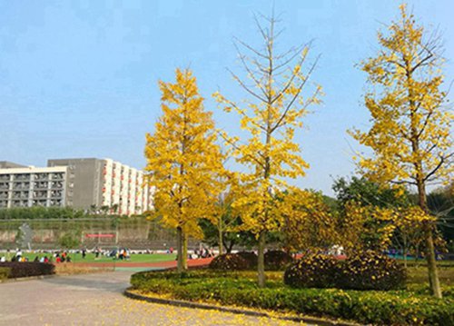 石家庄市第四职业中专学校