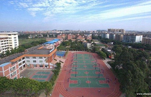 对照阅读现设法学系