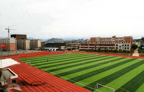四川师范大学设计艺术鲸鱼体育直播ap