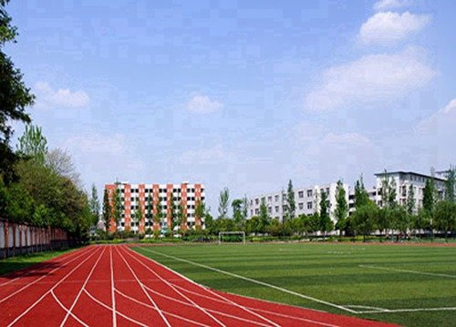 技工鲸鱼体育直播app下载官方正版
