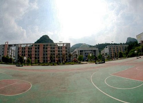 省财政重点专业10个