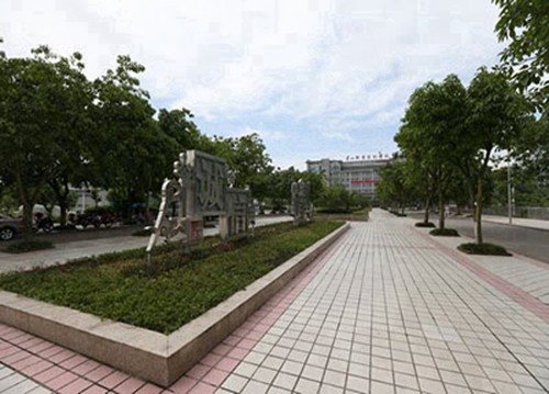 鲸鱼体育直播app下载官方正版增挂“