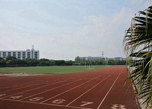 鲸鱼体育直播app下载使用教程办学质