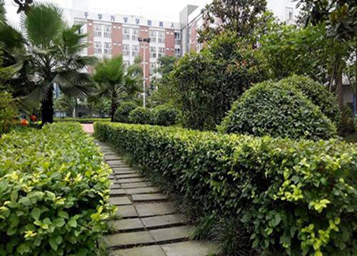 省财政厅确定为“省级示范性高等职业院